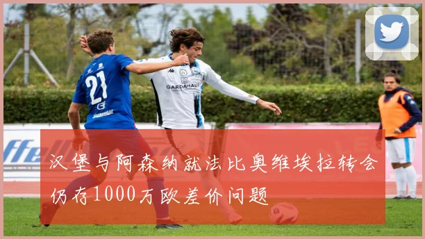 汉堡与阿森纳就法比奥维埃拉转会仍存1000万欧差价问题