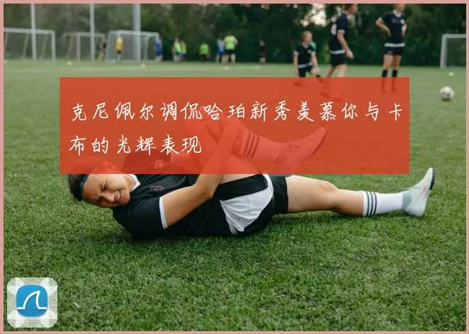 克尼佩尔调侃哈珀新秀羡慕你与卡布的光辉表现